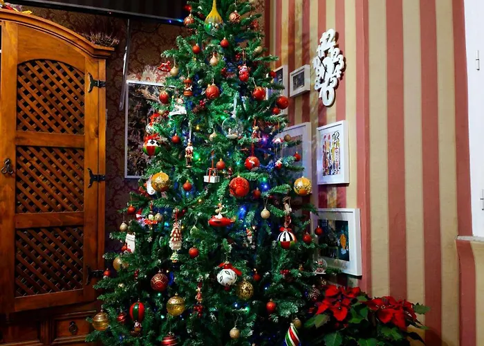 Bed and Breakfast Da Augusto Roma